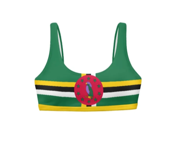 Dominica Square Neck Bikini Top