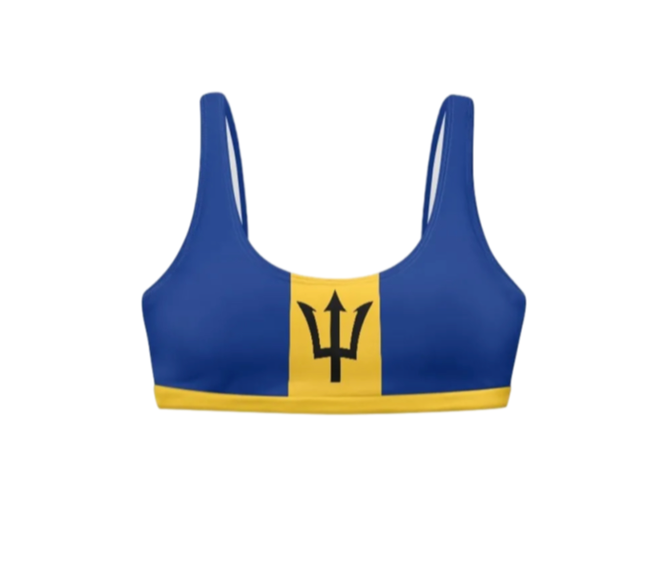 Barbados Square Neck Bikini Top
